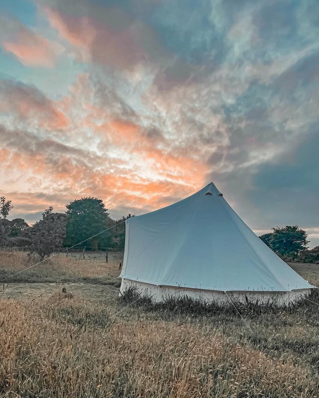 🌟 Join the #BTBChallenge – Show Off Your Bell Tent Setup!
