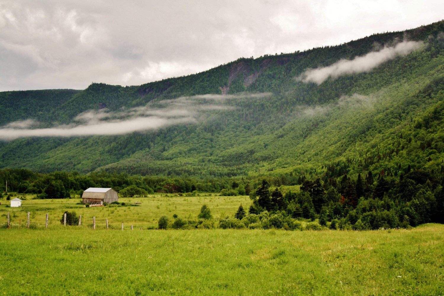 Discover Farm Campsites | Bell Tent Boutique