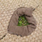 Coir_Mat